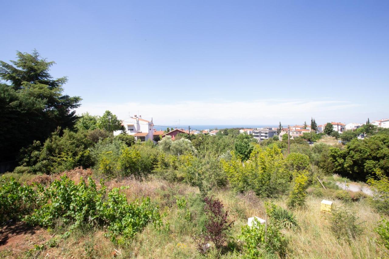Τraditional Fully Detached Villa On A Luxurious Hillock Of Thessaloniki With Its Own Garden Also For Family & Wedding Gatherings For 10 To 25 People Only 15 Minutes From Airport Exterior foto